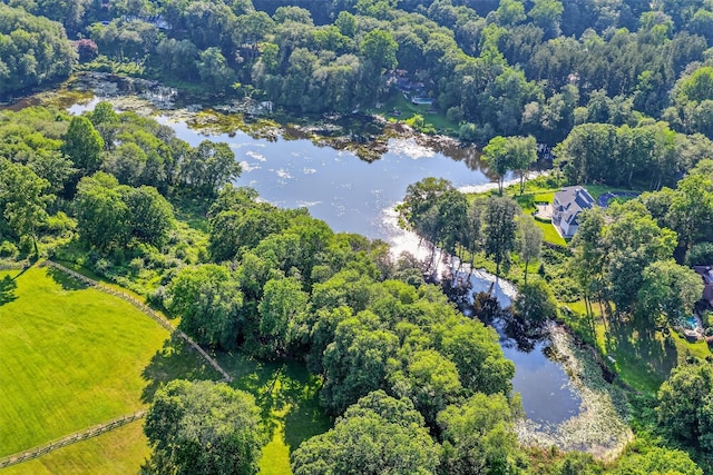 65 Round Hill Rd, Armonk, NY 10504 - bird's eye view of a nearby body of water and a forest