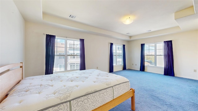 6910 Beach Front Rd, Arverne, NY 11692 - carpeted bedroom with a raised ceiling, multiple windows, and baseboards
