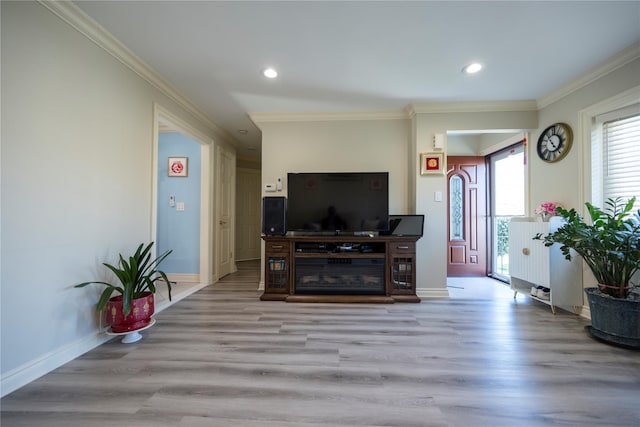 living room featuring ornamental molding, baseboards, and light wood-style floors