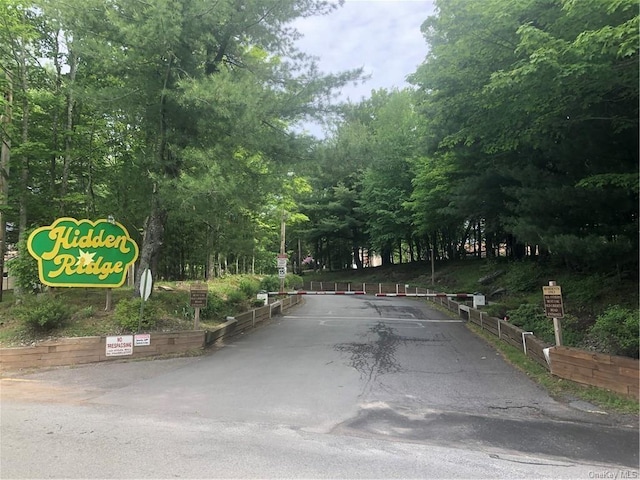 179 Hidden Ridge Dr, Monticello, NY 12701 - view of street
