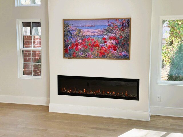 detailed view of a glass covered fireplace, wood finished floors, and baseboards