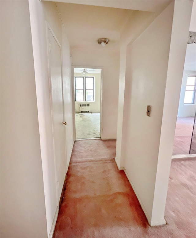 745 E 231st St Unit 1F, Bronx, NY 10466 - corridor featuring light carpet, baseboards, and a healthy amount of sunlight