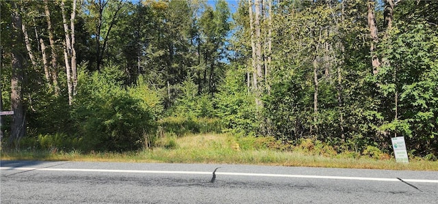 State Route 42, Grahamsville, NY 12765