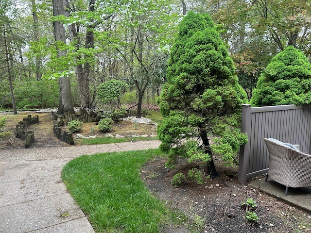 118 Skyline Dr, Coram, NY 11727 - view of yard
