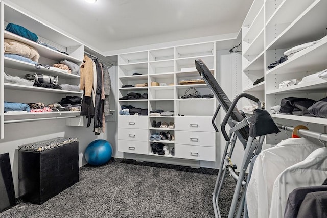 8 Beaumont Dr, New City, NY 10956 - view of spacious closet