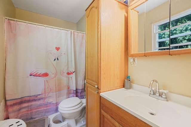 full bathroom featuring toilet, vanity, and curtained shower