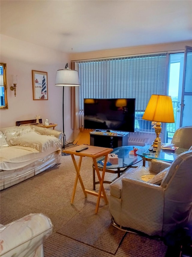 90-50 Union Tpke Unit 17K, Glendale, NY 11385 - living room featuring carpet
