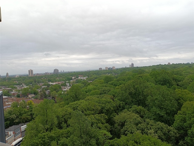 90-50 Union Tpke Unit 17K, Glendale, NY 11385 - drone / aerial view of a forest