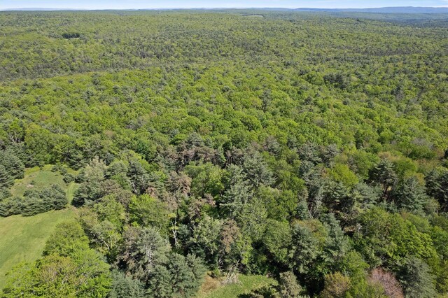 80 Hartwood Club Rd, Sparrowbush, NY 12780 - photo 38