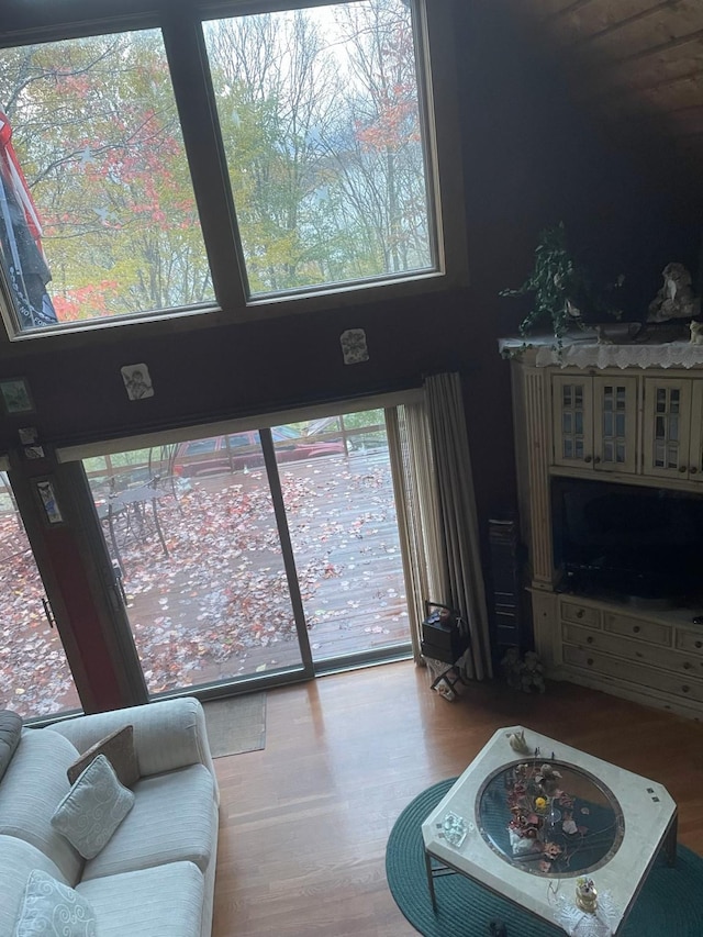 living area featuring wood finished floors