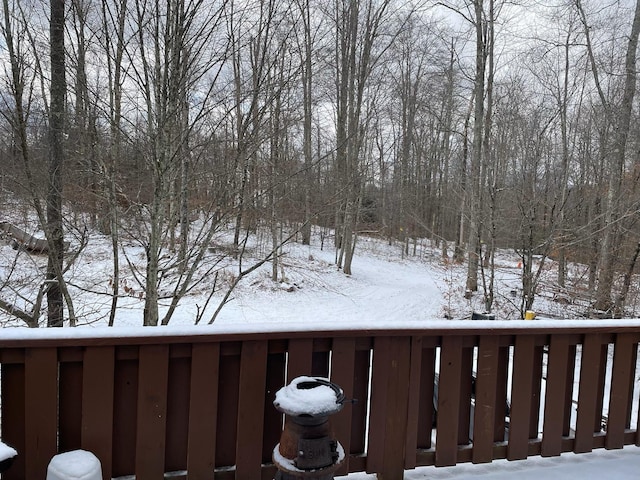 view of yard layered in snow