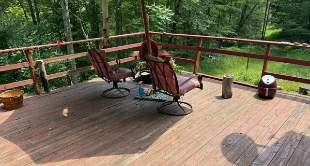 85 Maccabee Rd, Roscoe, NY 12776 - photo 26