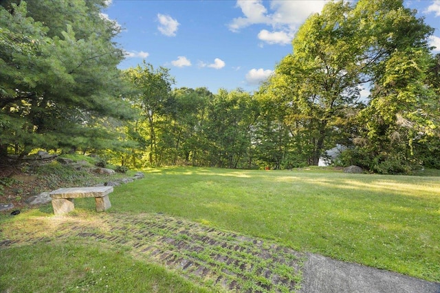 587 Rte 306, Suffern, NY 10901 - photo 44