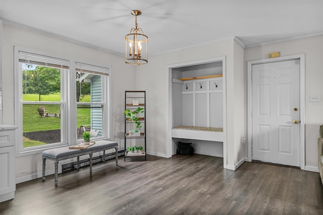 8 Red Oak Ct, Middletown, NY 10941 - mudroom with dark wood-style floors, ornamental molding, a chandelier, and baseboards