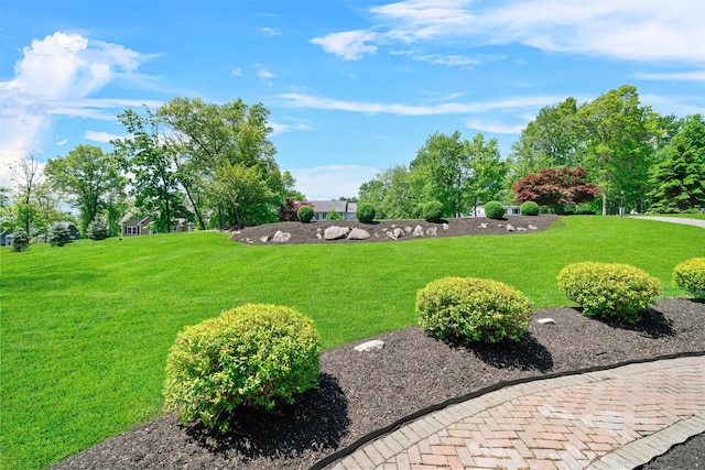 9 Hill Rd, Washingtonville, NY 10992 - view of green lawn