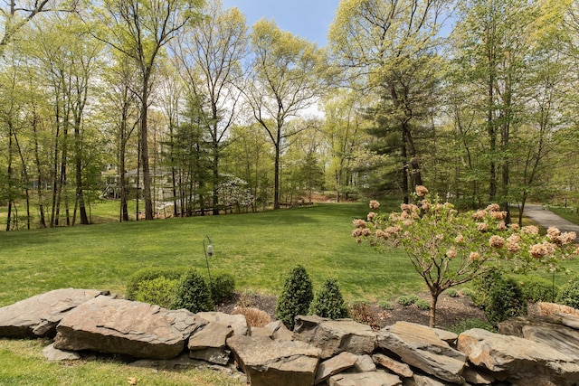 view of green lawn