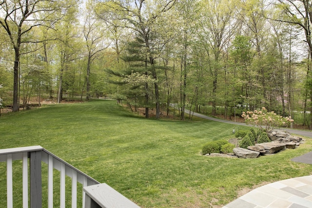 view of grassy yard