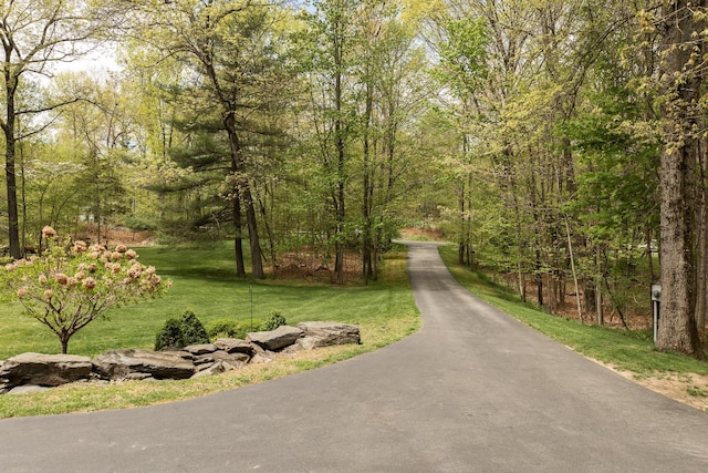 view of property's community with a lawn and a forest view