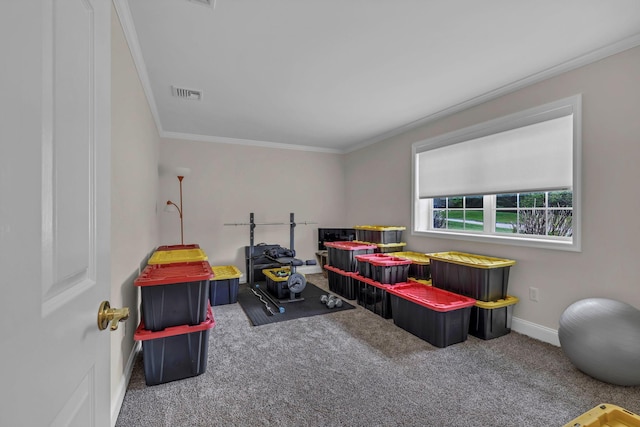 playroom with crown molding, carpet floors, and baseboards