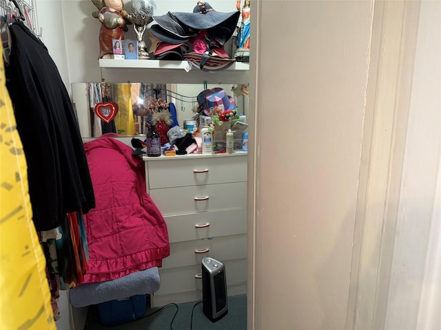 walk in closet featuring carpet floors