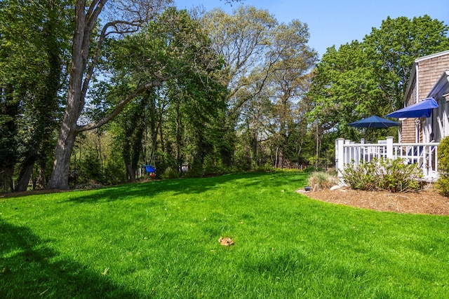 view of grassy yard