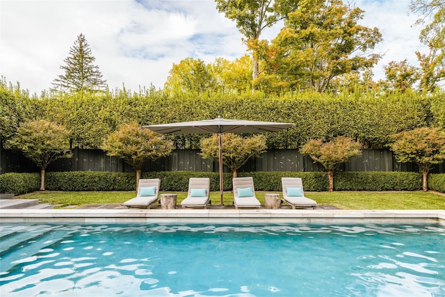 view of swimming pool