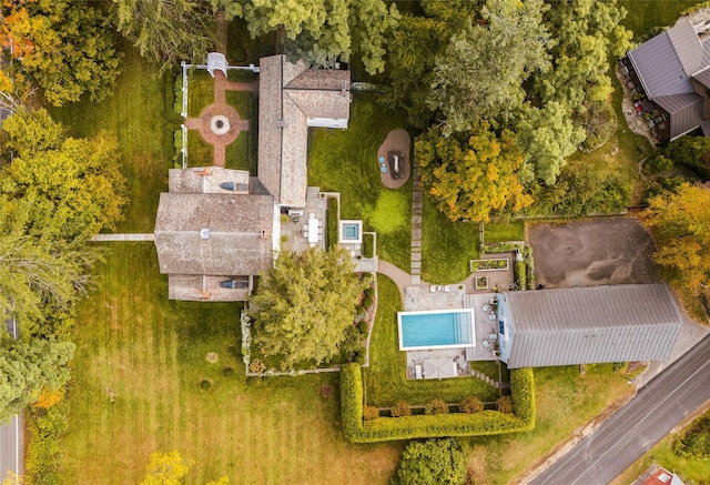 bird's eye view of a pool