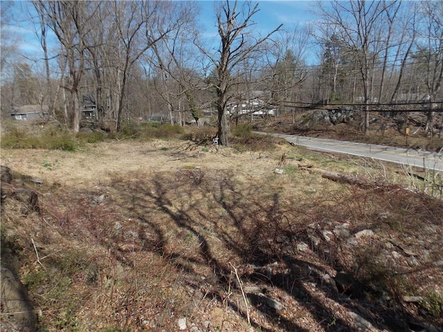 270 Furnace Dock Rd, Cortlandt Manor, NY 10567 - photo 2
