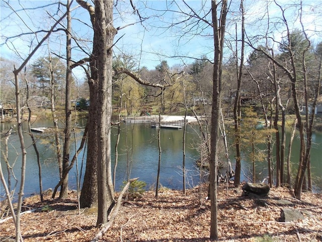 270 Furnace Dock Rd, Cortlandt Manor, NY 10567 - photo 8