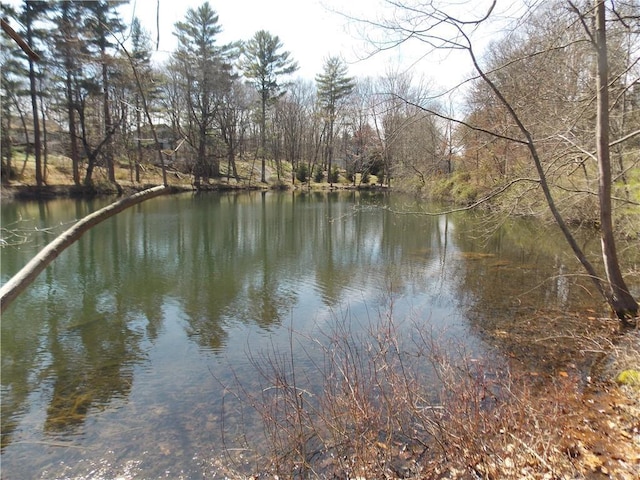 270 Furnace Dock Rd, Cortlandt Manor, NY 10567 - photo 10
