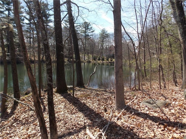 270 Furnace Dock Rd, Cortlandt Manor, NY 10567 - photo 11