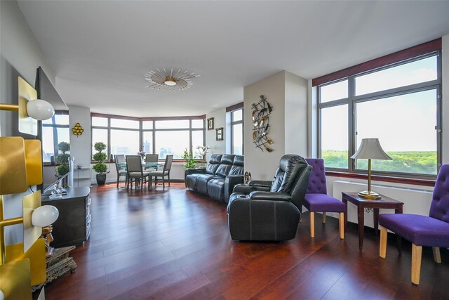 living room with wood finished floors