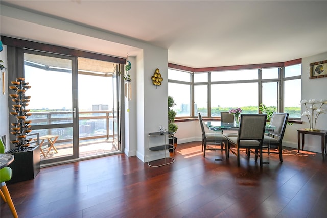 dining room featuring healthy amount of natural light, baseboards, and wood finished floors