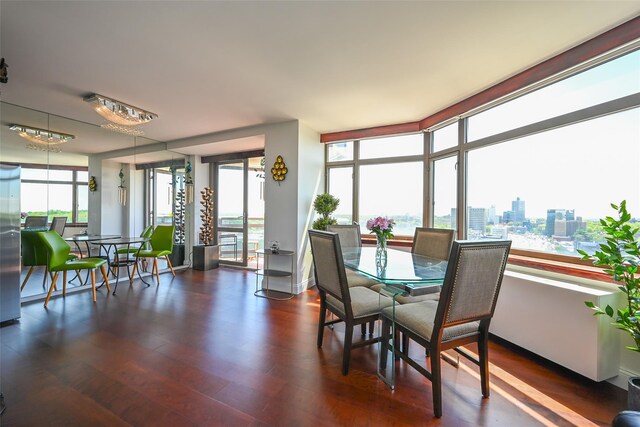 dining area featuring healthy amount of natural light, wood finished floors, and a view of city