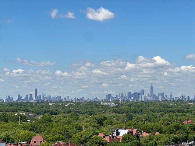 bird's eye view of a skyline view