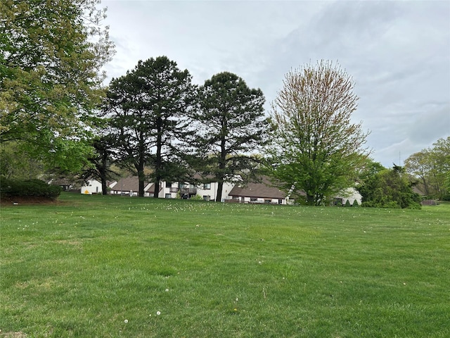 10 Monet Ct Unit 10, Middle Island, NY 11953 - view of grassy yard