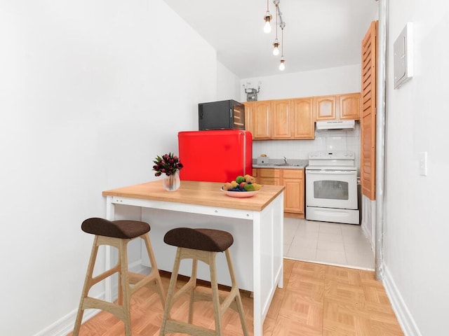kitchen with electric stove, under cabinet range hood, baseboards, a sink, and decorative backsplash