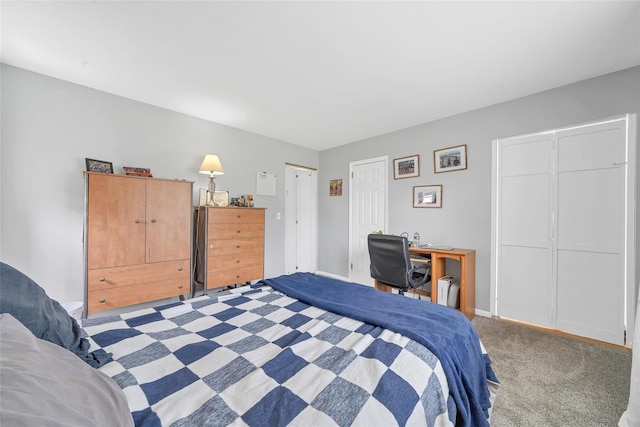 12 Dorothy Dr, Monroe, NY 10950 - view of carpeted bedroom