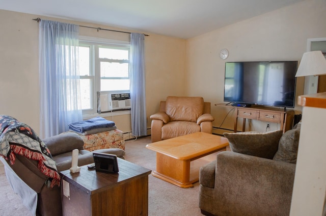 15 Feller Newmark Rd, Red Hook, NY 12571 - living room with carpet floors and cooling unit