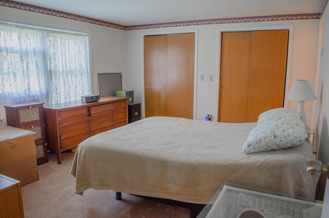 15 Feller Newmark Rd, Red Hook, NY 12571 - bedroom featuring multiple closets and light colored carpet