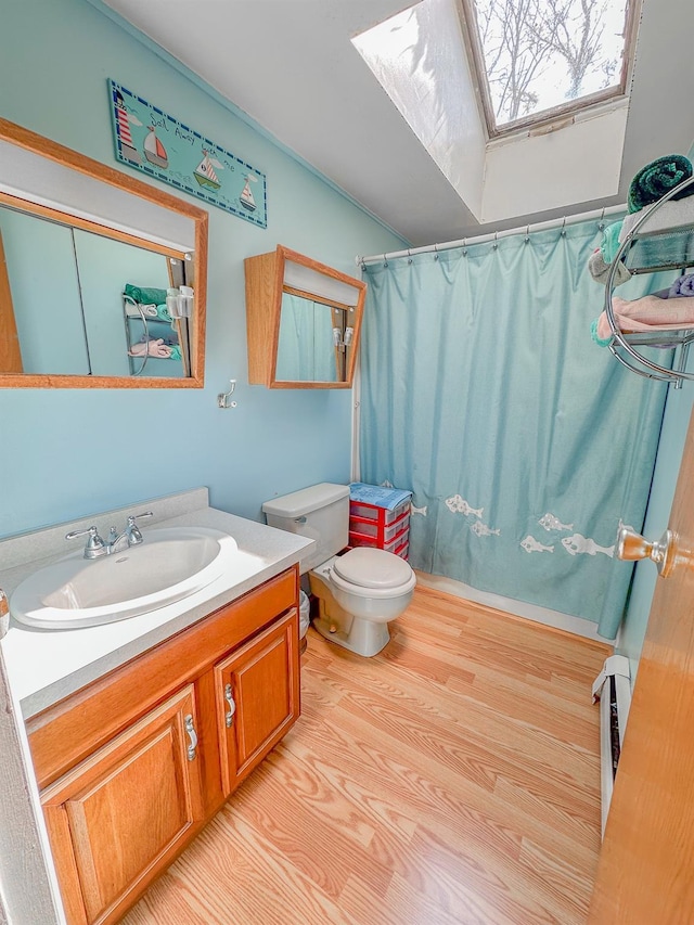15 Feller Newmark Rd, Red Hook, NY 12571 - bathroom featuring a skylight, vanity, toilet, a shower with shower curtain, and wood finished floors