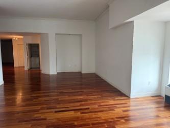 100 New Roc City Pl Unit 408, New Rochelle, NY 10801 - spare room featuring wood finished floors