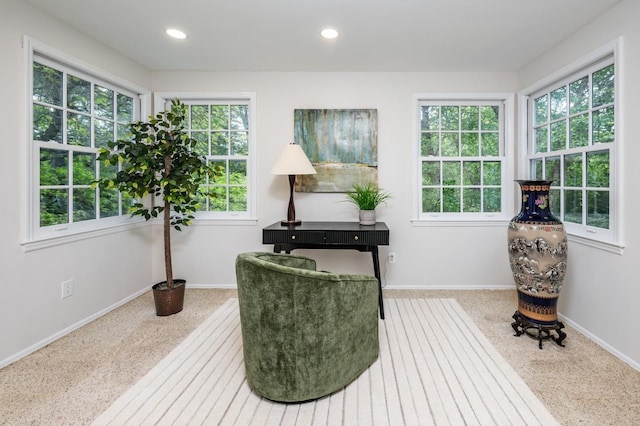 16 Cayuga Rd, Scarsdale, NY 10583 - living area featuring plenty of natural light, baseboards, and recessed lighting