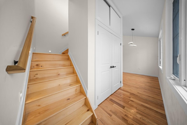 762 Belmont Ave, Brooklyn, NY 11208 - photo 9