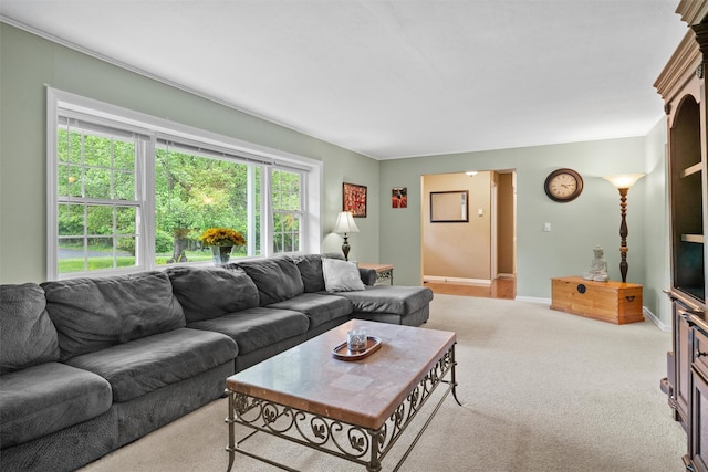 20 Idlewild Park Dr, Cornwall On Hudson, NY 12520 - living room featuring light carpet and baseboards