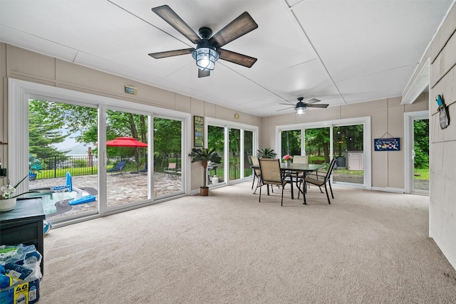 20 Idlewild Park Dr, Cornwall On Hudson, NY 12520 - sunroom / solarium with carpet