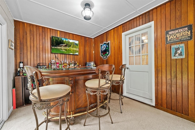 20 Idlewild Park Dr, Cornwall On Hudson, NY 12520 - indoor bar featuring wood walls, carpet flooring, and baseboards