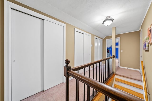 20 Idlewild Park Dr, Cornwall On Hudson, NY 12520 - hall featuring carpet, an upstairs landing, and baseboards