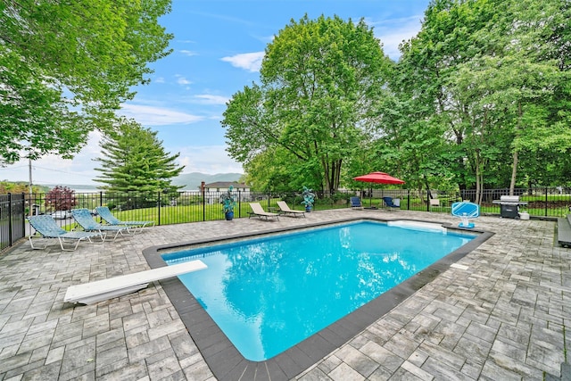 20 Idlewild Park Dr, Cornwall On Hudson, NY 12520 - view of swimming pool with a patio area and a diving board