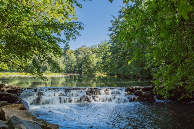 water view featuring a heavily wooded area